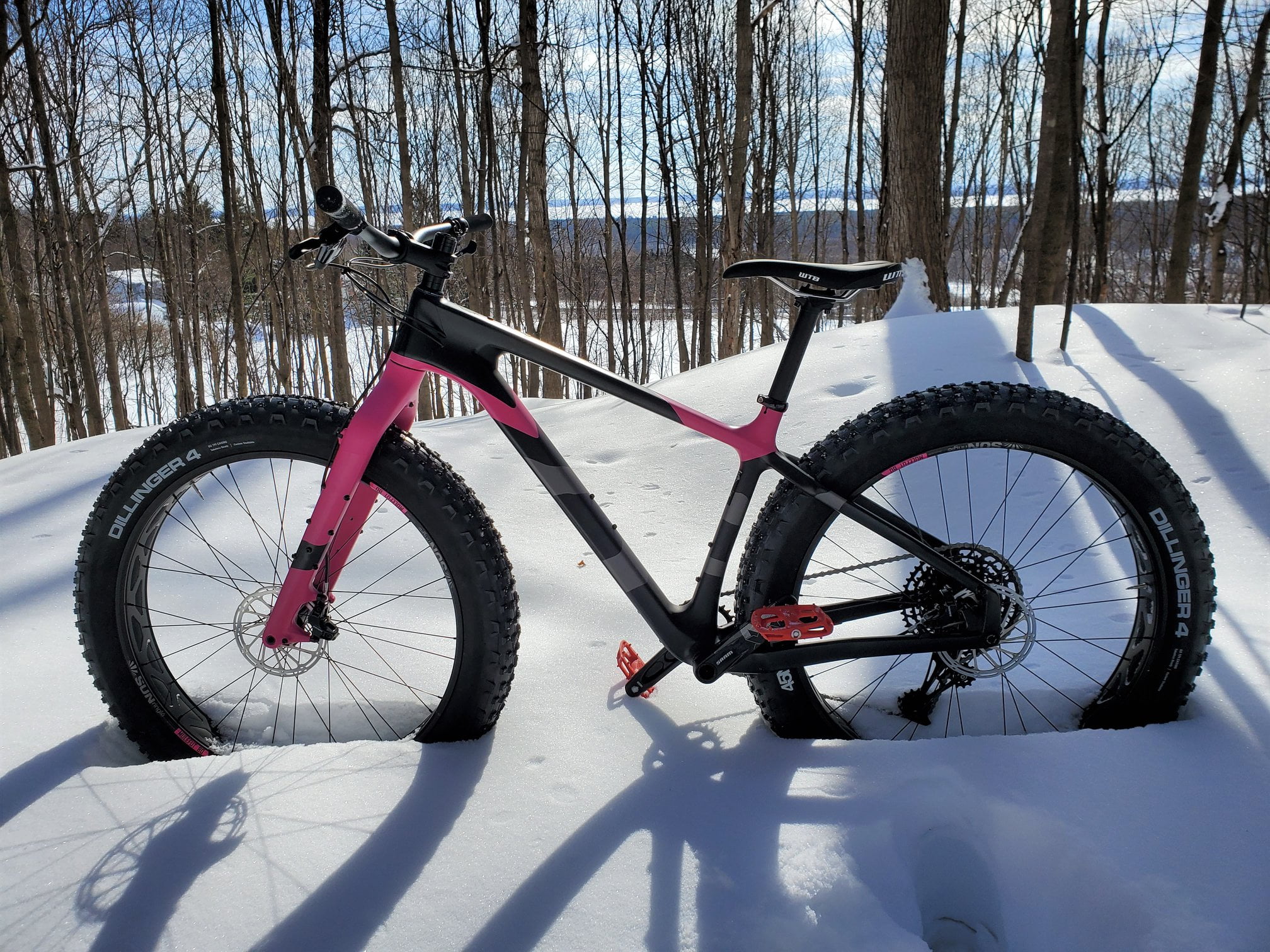 Salsa carbon fat online bike