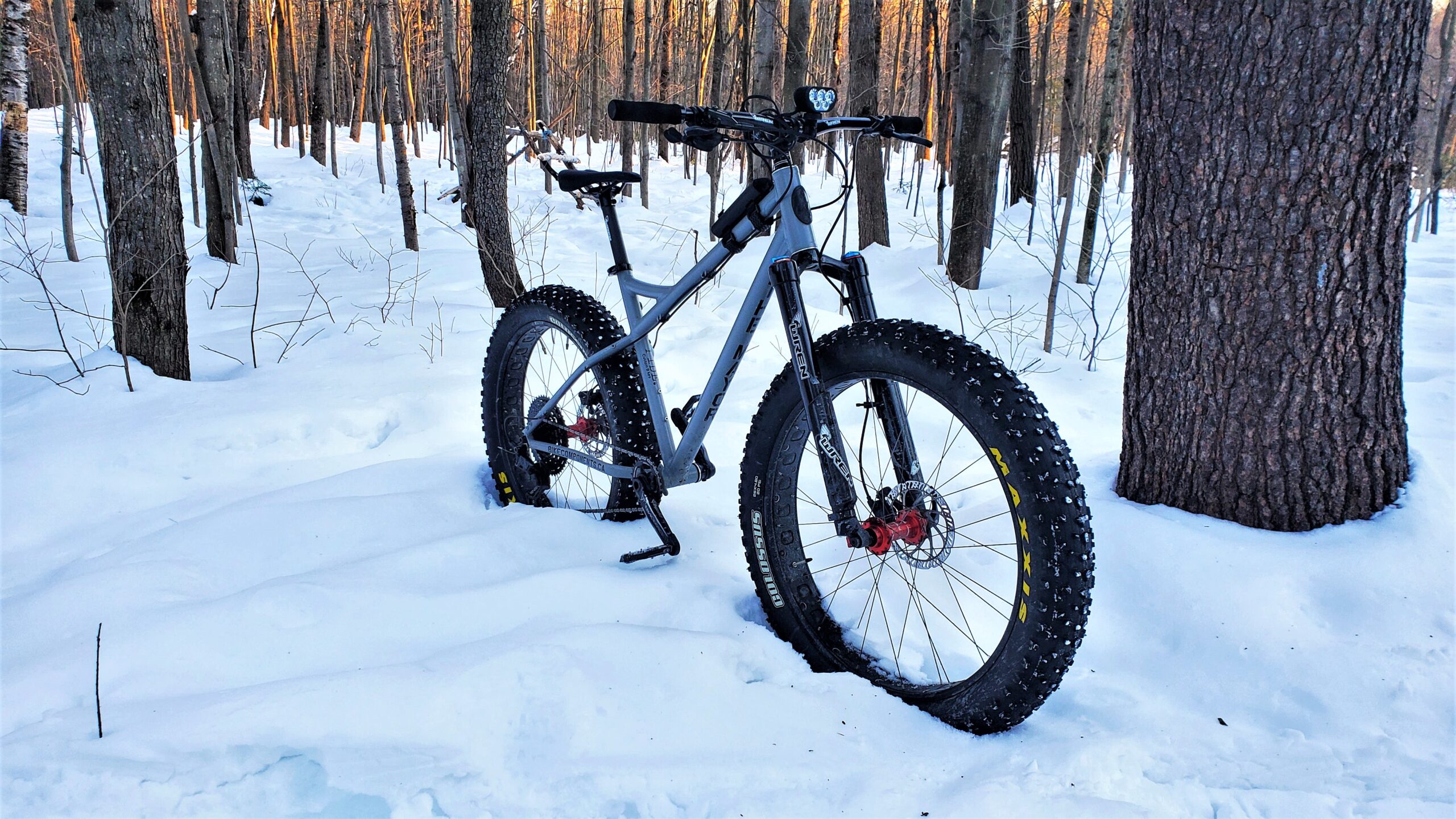 Wren fork deals fat bike