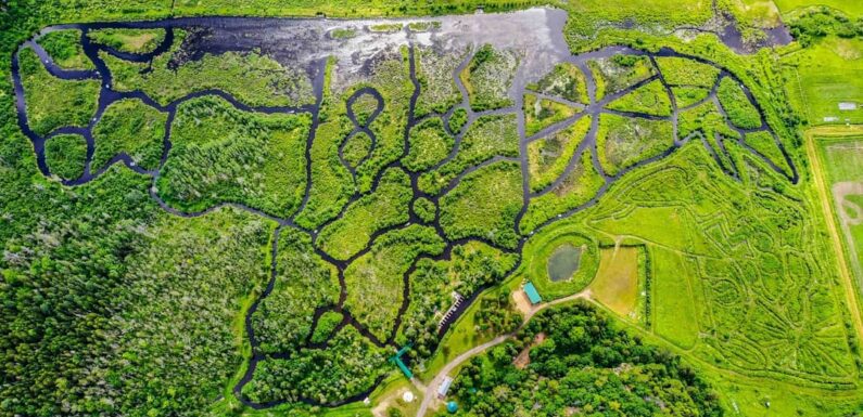 MY VISIT TO PARC NATURE ECO-ODYSSÉE