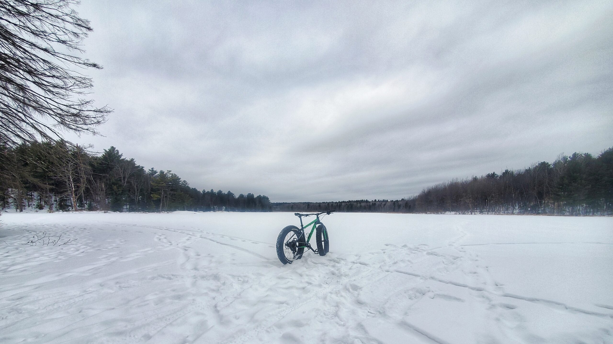 Winter Fat Biking (In The Snow) Is The Most Underrated Cycling