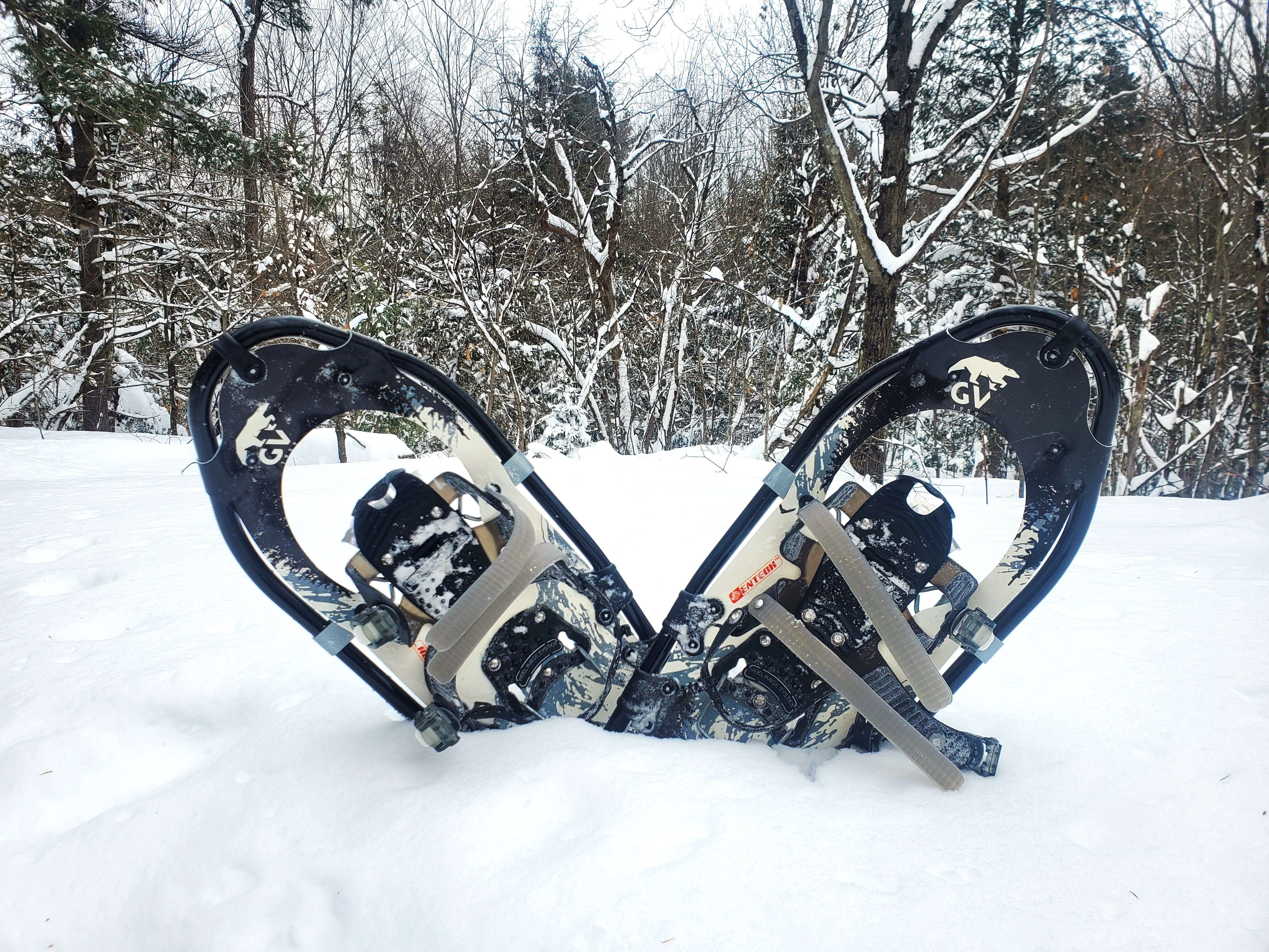GV SNOWSHOES MOUNTAIN TRAIL ALLIGATOR REVIEW