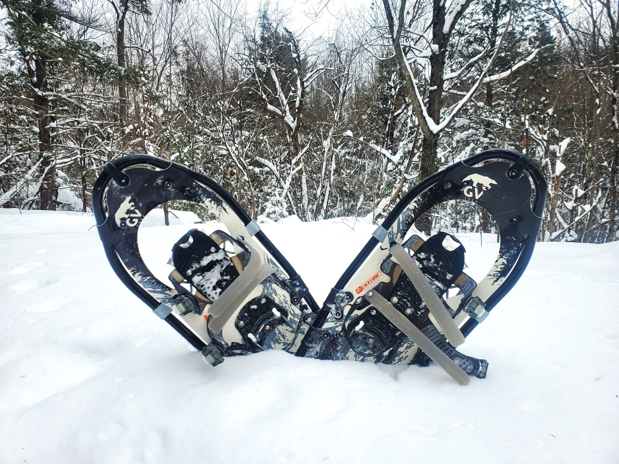GV SNOWSHOES MOUNTAIN TRAIL ALLIGATOR REVIEW Allday magazine