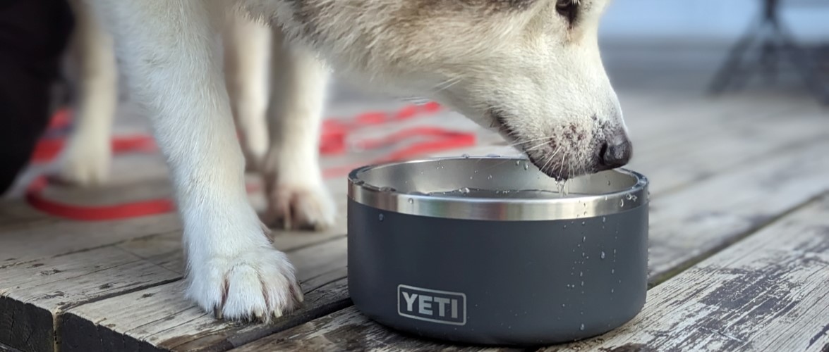 YETI Boomer 8 Dog Bowl