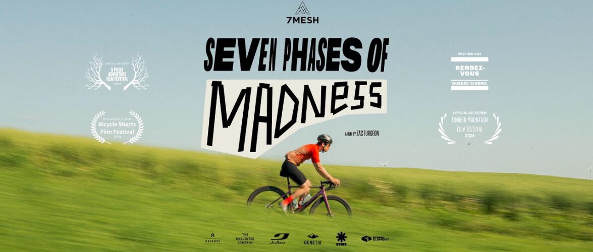 THE SEVEN PHASES OF MADNESS
