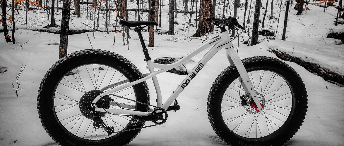 2025 Fat Bike Project: The Werewolf Build for Ultimate Winter Adventures