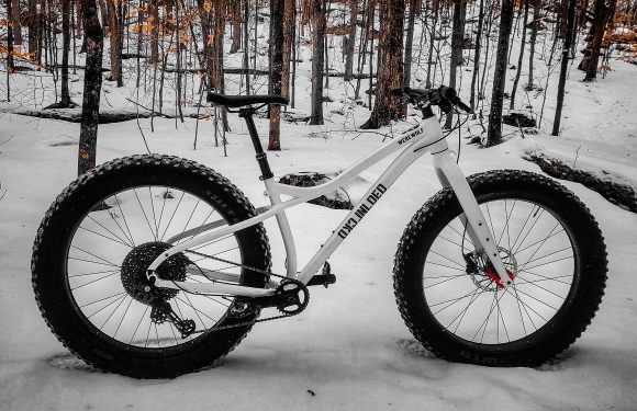 2025 Fat Bike Project: The Werewolf Build for Ultimate Winter Adventures