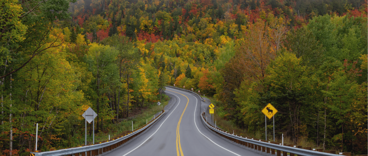 My Journey to the Race Across Quebec: Setting the Goal