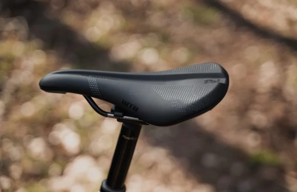 WTB Solano Saddle Review: Can It Redefine Endurance Comfort?