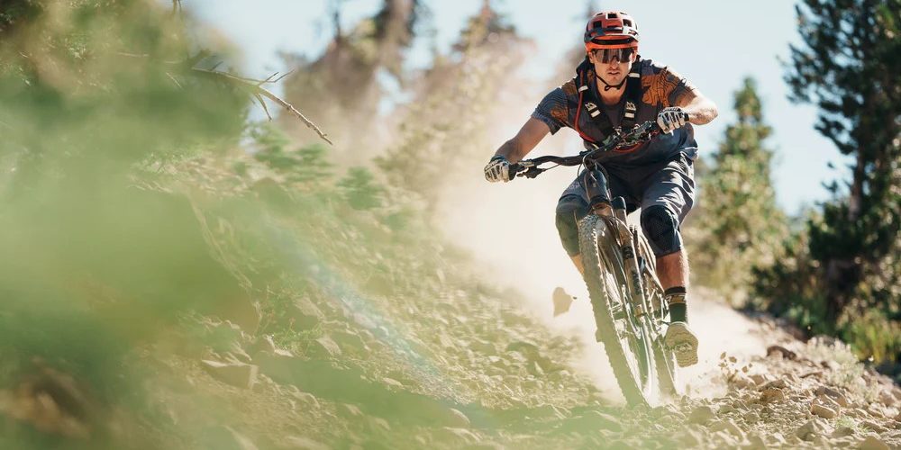 WTB Verdict and Judge Mountain Bike Tire Review: Insights from a Full Season of Riding