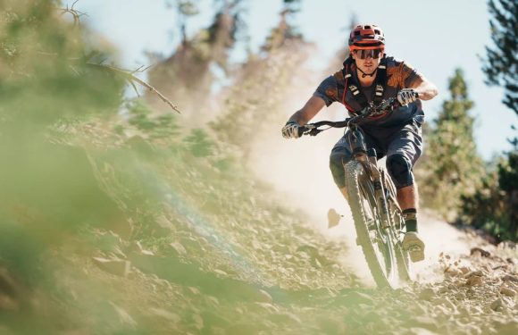 WTB Verdict and Judge Mountain Bike Tire Review: Insights from a Full Season of Riding