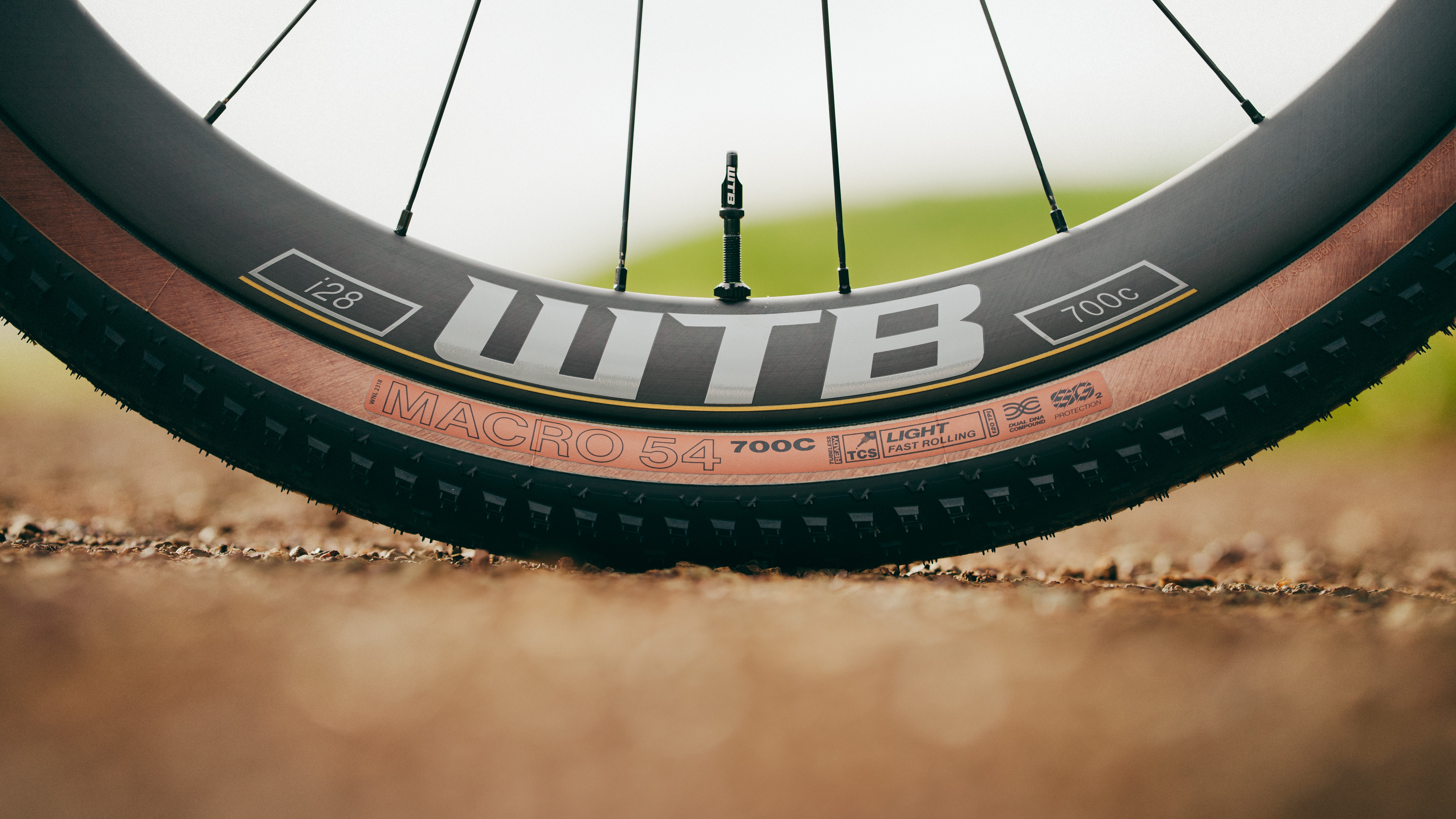 WTB Macro 54 Review: How Far Can a Gravel Tire Really Go?